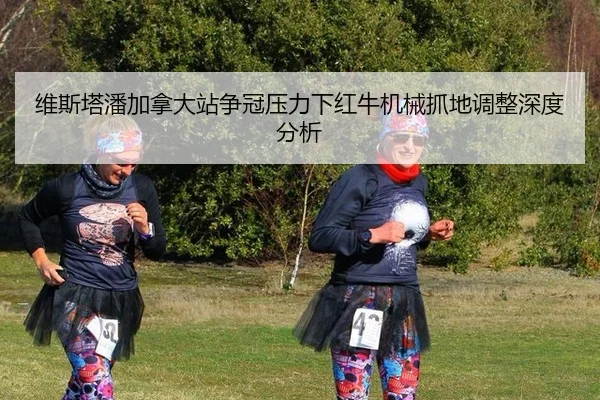 wei-si-ta-pan-jia-na-da-zhan-zheng-guan-ya-li-xia-hong-niu-ji-xie-zhua-di-tiao-zheng-shen-du-fen-xi-2-230.jpg